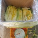 맛나유통 이미지