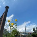 오뚜기세탁소 이미지