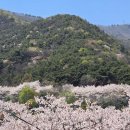 동물원 가는 길 이미지