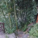 속닥거림펜션 이미지