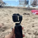 모아나스테이 | 여행 Day2] 와이키키수영/포케맛집 포케바/알라모아나센터 쇼핑몰/루스크리스 해피아워/하와이 태닝키티