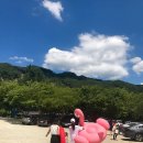 두레가든 이미지