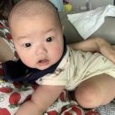 당이즈 네이버블로그