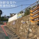 하우스 라퓨타 네이버블로그
