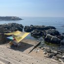 대부리 방파제 옆 | 동해 영덕 스노쿨링 대부방파제 주차 편의시설 정보