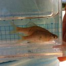 보성강8 이미지