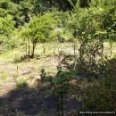 장척농장 이미지