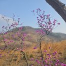 밤산농원 이미지