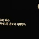 핑크빛청춘들 이미지