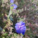 비전21공인중개사사무소 이미지