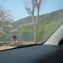 삼가-30 이미지