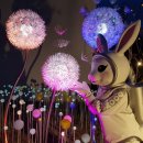 별빛정원 이미지