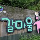 갈마울경로당 네이버블로그