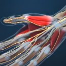 서재곤링커병원 이미지