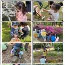 자연과환경 이미지