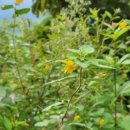 좌천체육공원 이미지