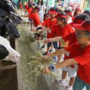 유연목장 이미지