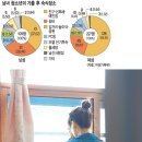 아이보따리 이미지