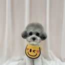 디어뚜뚜 이미지