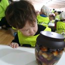 소풍농장 이미지