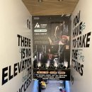 대만 파워리프팅 체육관 HOWKIND Fitness 방문후기