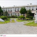 오궁초 이미지