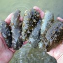 중앙웰빙 이미지