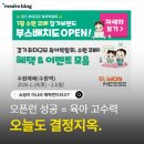 정관장기흥전시판매장 | 2026 수원메쎄 코베 - 7000 브랜드 총출동!