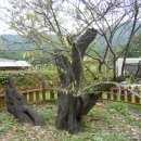 운리마을 이미지