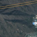 산본로451 이미지