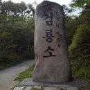 누리화원 - 성남시 분당구 새마을로 48 | 누리화원