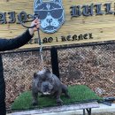 봉식농장 이미지