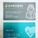 미사마이펫동물병원 이미지