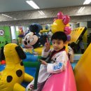 한국체대 인성금강 태권도 이미지