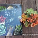 다육사랑 - 이천시 경충대로 2699-10 | 다육사랑
