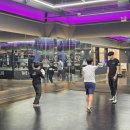 더아트복싱클럽 이미지