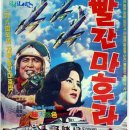 솔숲과바다 이미지
