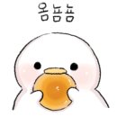 정가네김밥 이미지