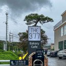 377 | 남양주 덕소 THE377 베이커리카페 연휴 포장 후기
