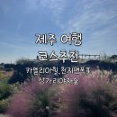 노을숲제주 | 제주 여행 코스 추천 | 천지연폭포&amp;카멜리아힐&amp;상가리야자숲(10월 핑크뮬리, 입장료 및 할인정보)