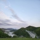 산안개 농장 이미지