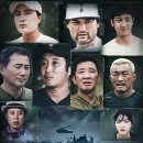 (주)코로나펫 이미지