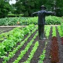 와리농장 이미지