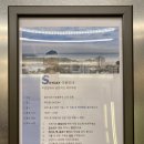 세븐일레븐서귀포동홍로점 | 제주 서귀포 호텔골든데이지 서귀포오션 :: 가성비 최고 슈페리어 트윈룸 후기