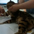 망미동물병원 이미지