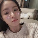 자네와 펫