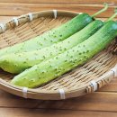 제이앤팜 이미지