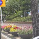 네일호디에 이미지