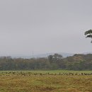 말무리목장 이미지