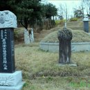 김당 이미지